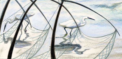 Egrets fishing, The Boatman's Knot, Rowena Riley